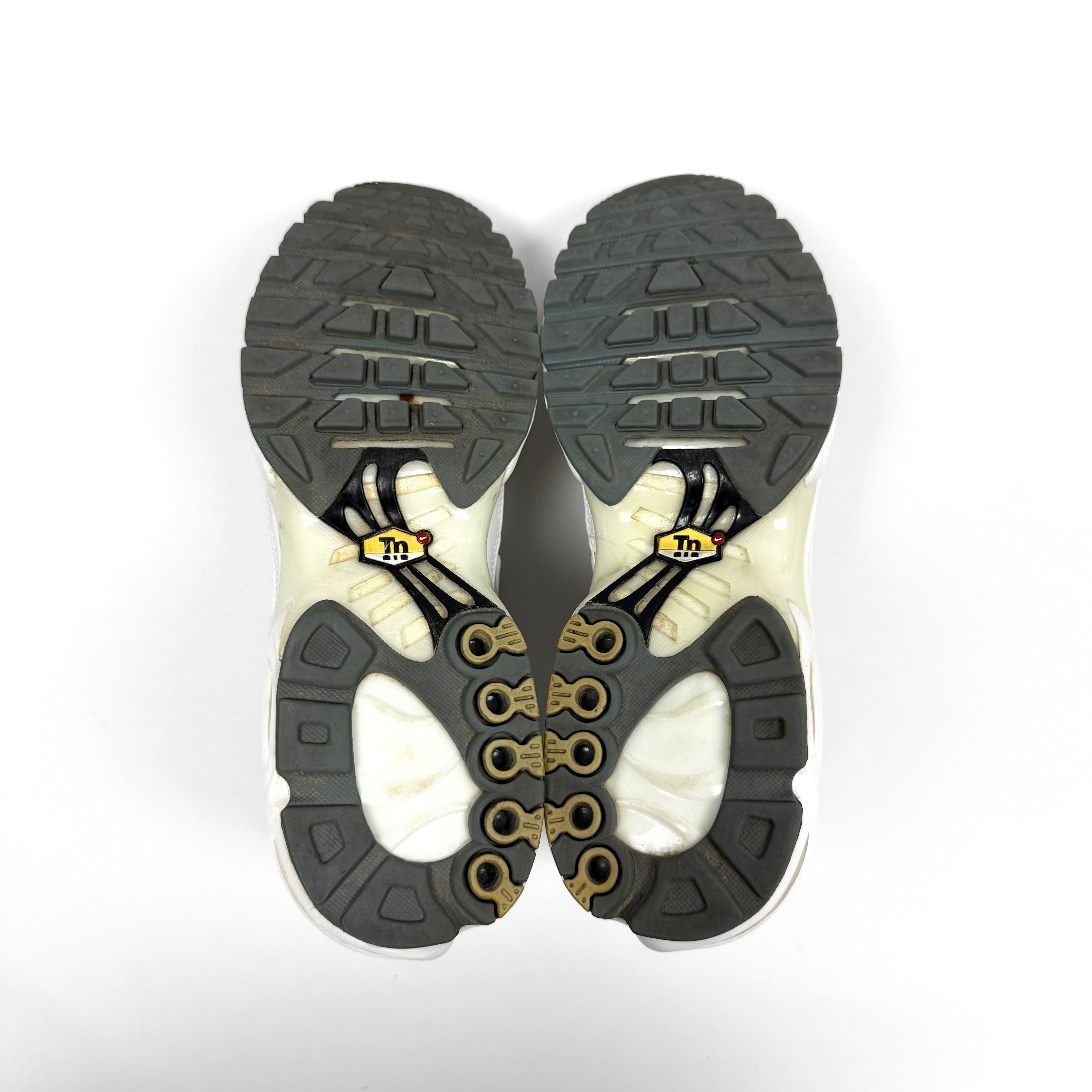 Nike Air Max Plus Tn