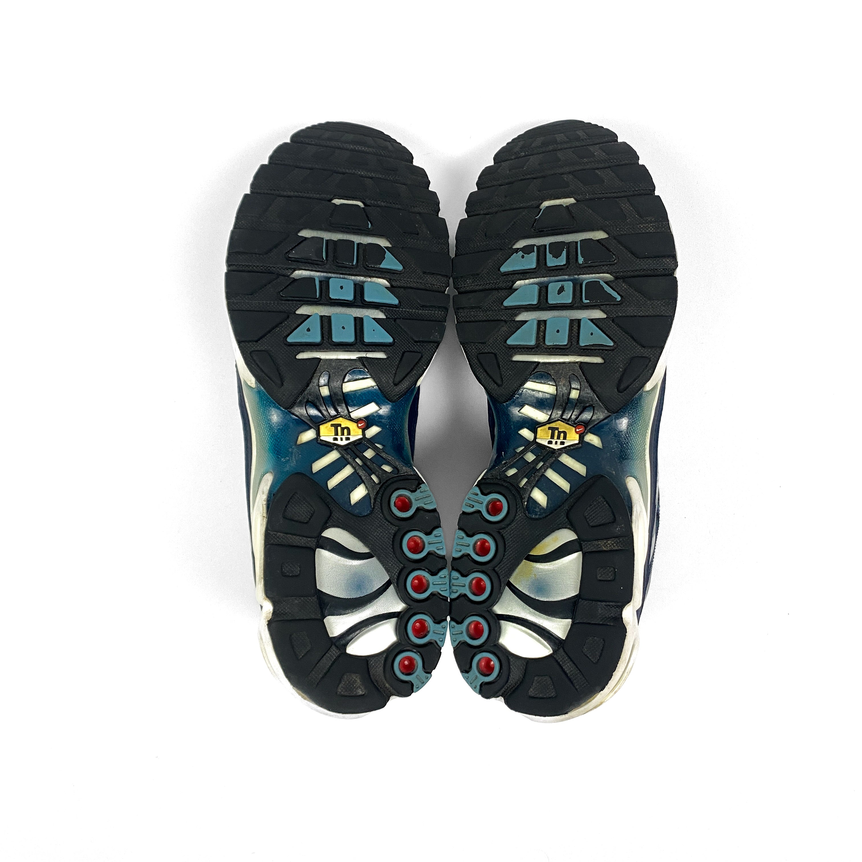 Nike Air Max Plus Tn "Palm Tree"