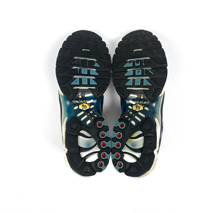 Nike Air Max Plus Tn "Palm Tree"